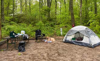 Camping near Louise F. Cosca Regional Park: Smallwood State Park Campground - TEMPORARILY CLOSED THROUGH JULY 2023, Marbury, Maryland