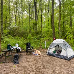 Smallwood State Park Campground - TEMPORARILY CLOSED THROUGH JULY 2023