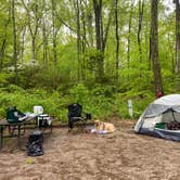 Review photo of Smallwood State Park Campground - TEMPORARILY CLOSED THROUGH JULY 2023 by Caitlin A., April 25, 2021