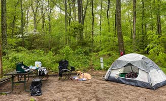 Caitlin A.'s photo at Smallwood State Park Campground - TEMPORARILY CLOSED THROUGH JULY 2023 near La Plata, MD