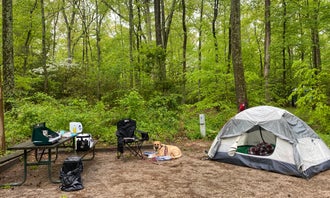 Camping near Pohick Bay Campground: Smallwood State Park Campground - TEMPORARILY CLOSED THROUGH JULY 2023, Marbury, Maryland