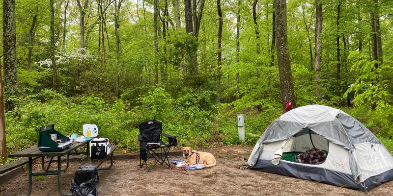 Camper submitted image from Smallwood State Park Campground - TEMPORARILY CLOSED THROUGH JULY 2023