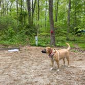 Review photo of Smallwood State Park Campground - TEMPORARILY CLOSED THROUGH JULY 2023 by Caitlin A., April 25, 2021
