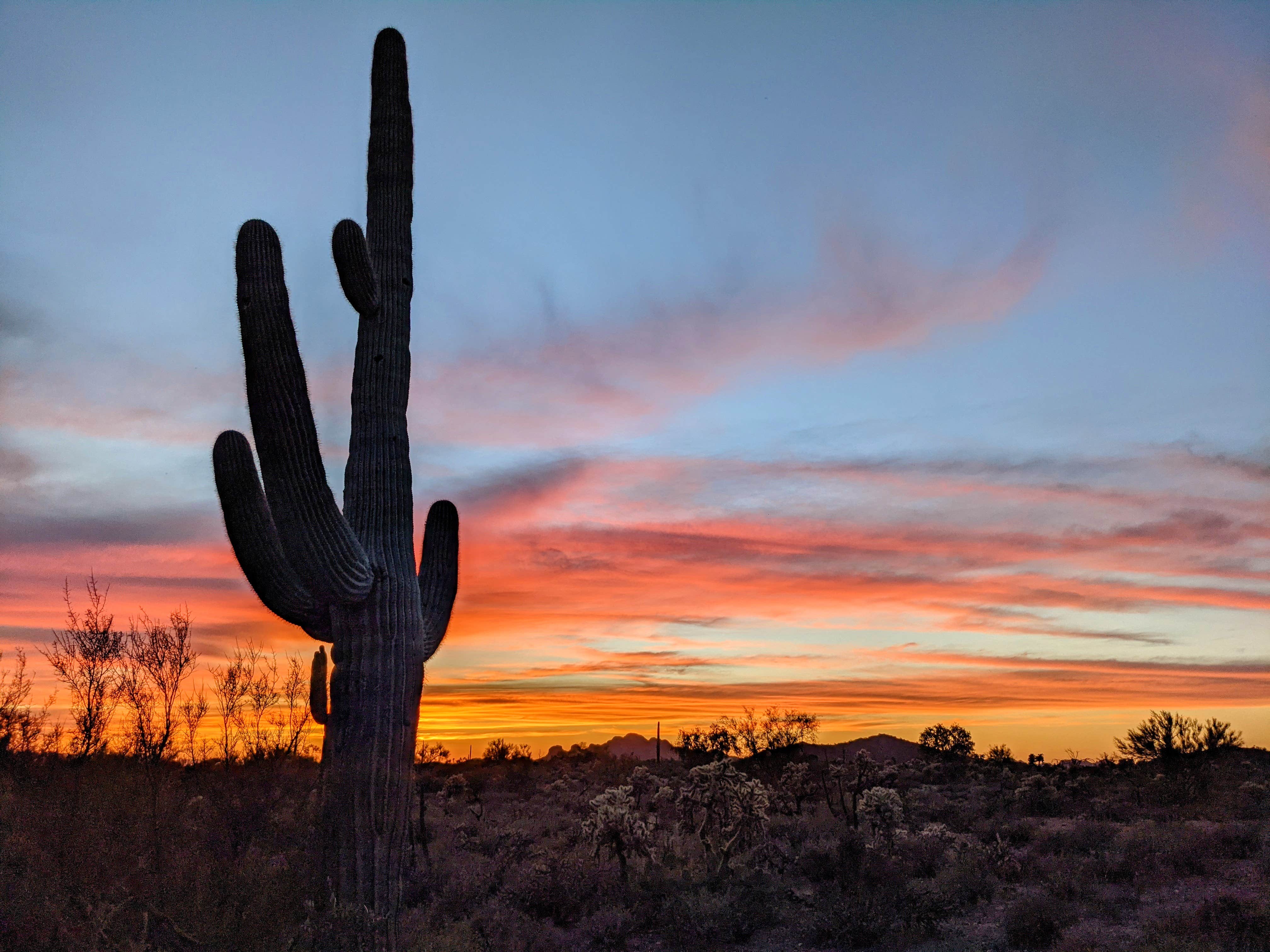 Shari  G.'s photo of a dispersed camping area at Peralta Road Dispersed Camping near Salt River, AZ