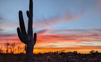 Shari  G.'s photo of a dispersed camping area at Peralta Road Dispersed Camping near Mesa, AZ