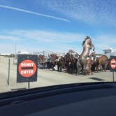 Review photo of Plomosa Rd. Quinn Pass BLM Dispersed Camping by Jamie P., April 25, 2021