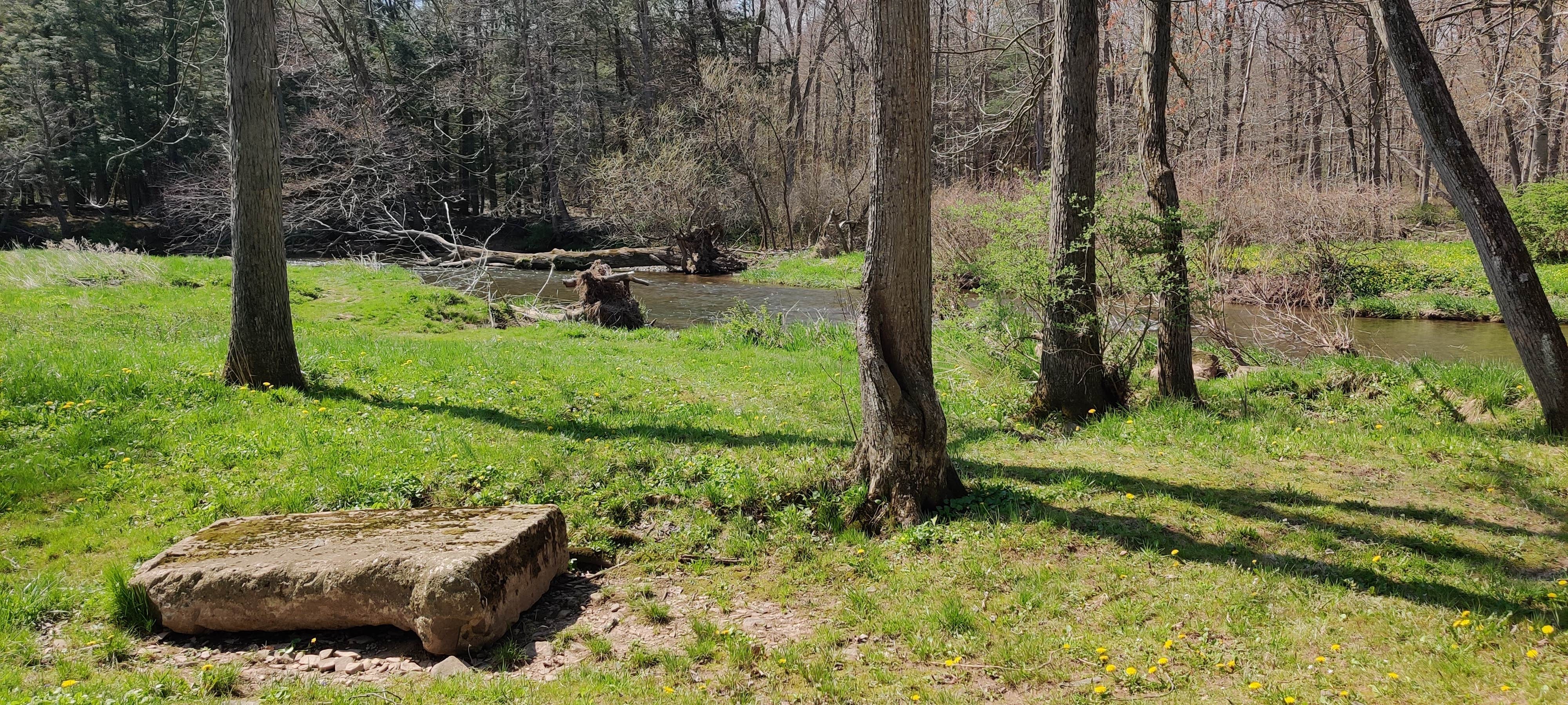 Camper-submitted photo at Lizard Creek Campground near Slatington, PA