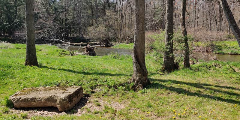 Camper submitted image from Lizard Creek Campground