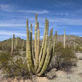 Review photo of Gunsight Wash BLM Dispersed camping area by Shari  G., April 25, 2021