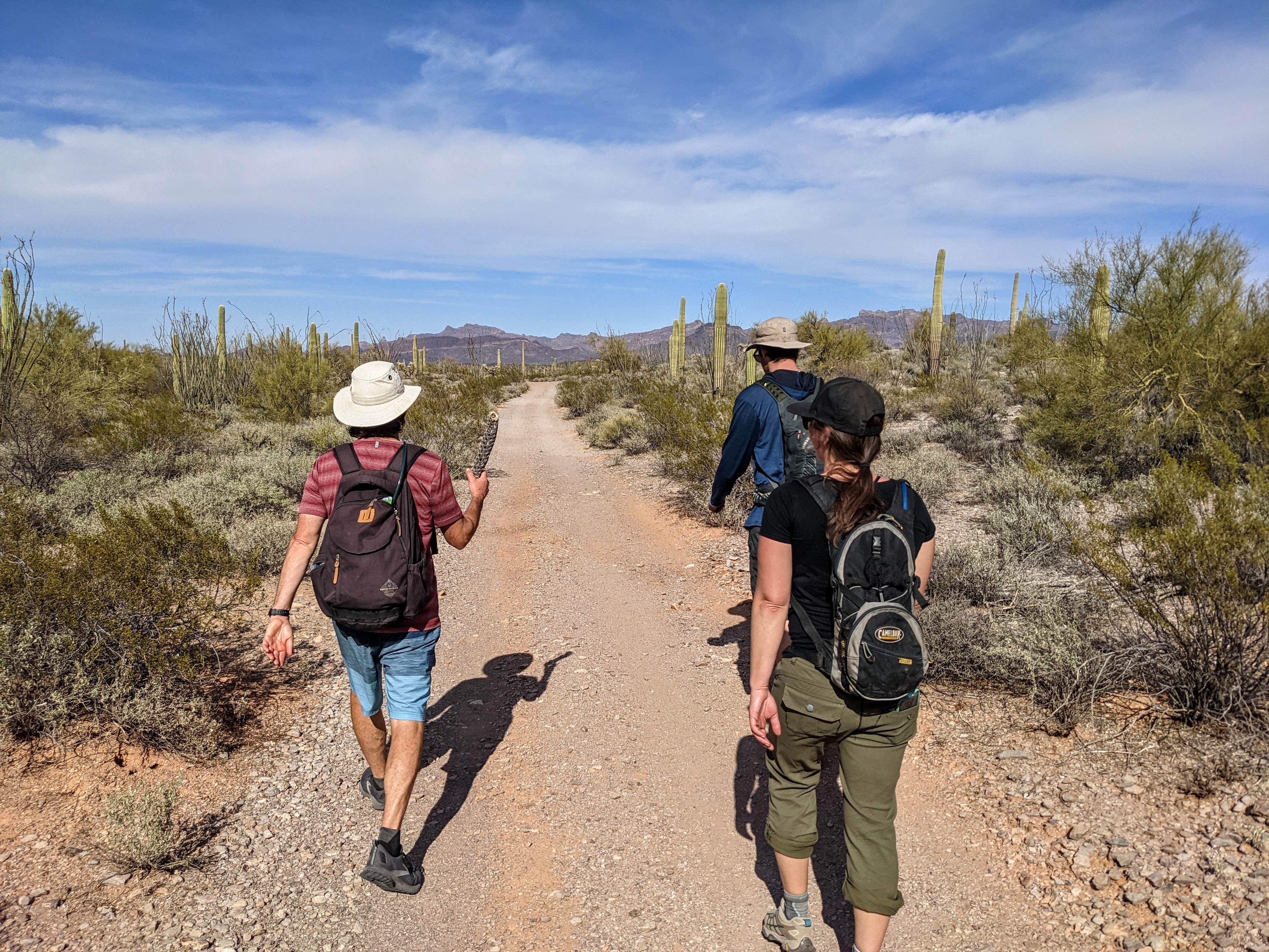 Camper submitted image from Gunsight Wash BLM Dispersed camping atea - 4