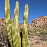 Review photo of Gunsight Wash BLM Dispersed camping atea by Shari  G., April 25, 2021