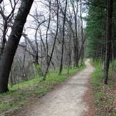 Review photo of Canyon Ridge Campground — Apple River Canyon State Park by Chris D., April 25, 2021