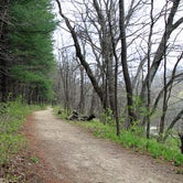 Review photo of Canyon Ridge Campground — Apple River Canyon State Park by Chris D., April 25, 2021