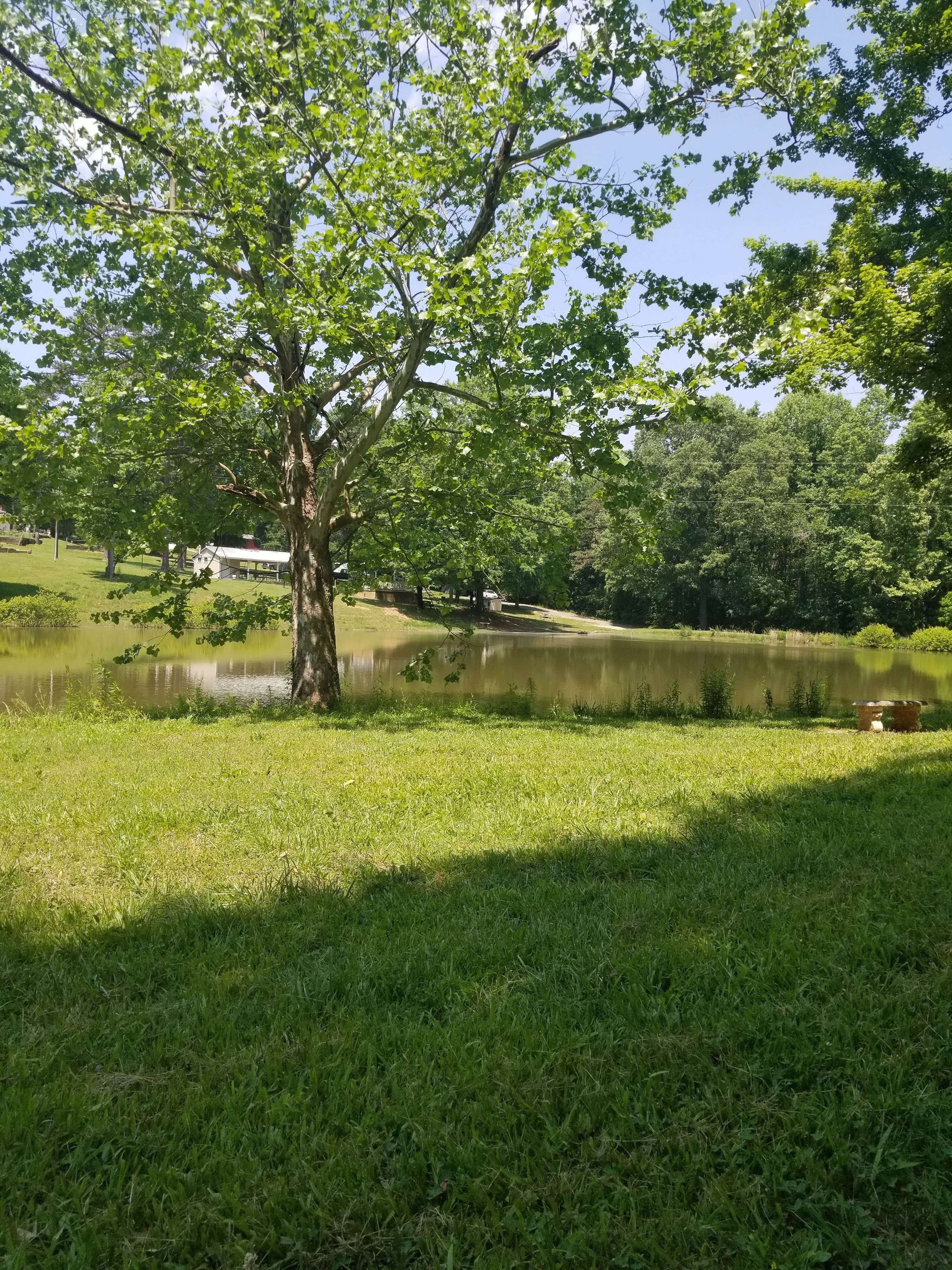 View All