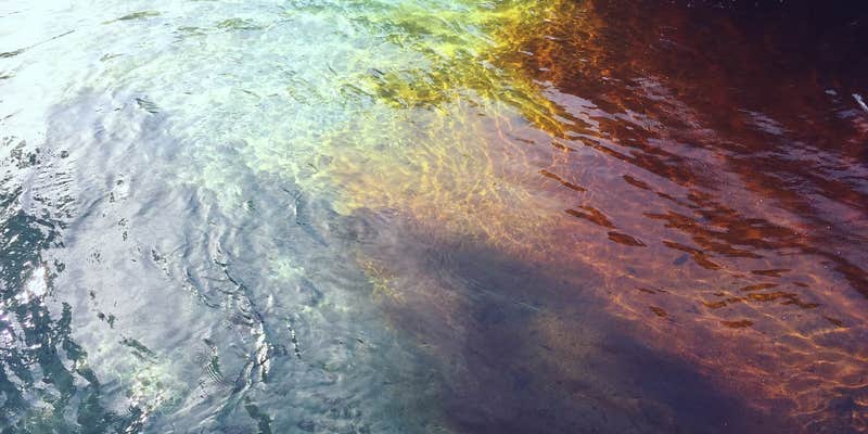 Camper submitted image from Ruth B. Kirby Gilchrist Blue Springs State Park Campground