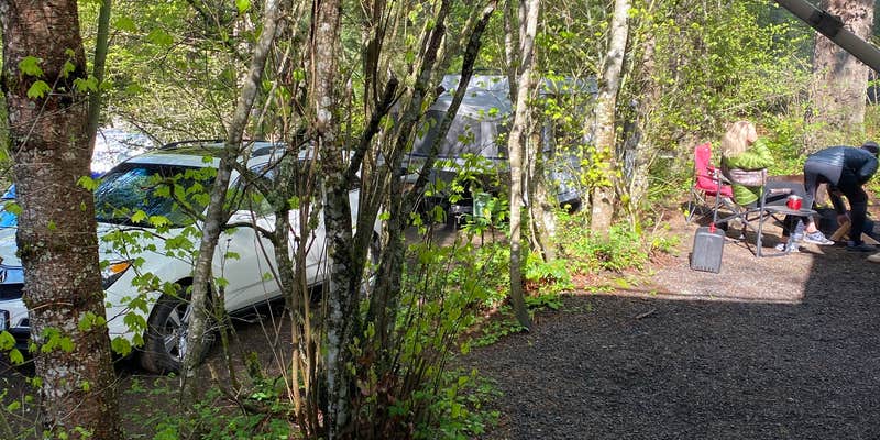 Camper submitted image from Timberland RV Park