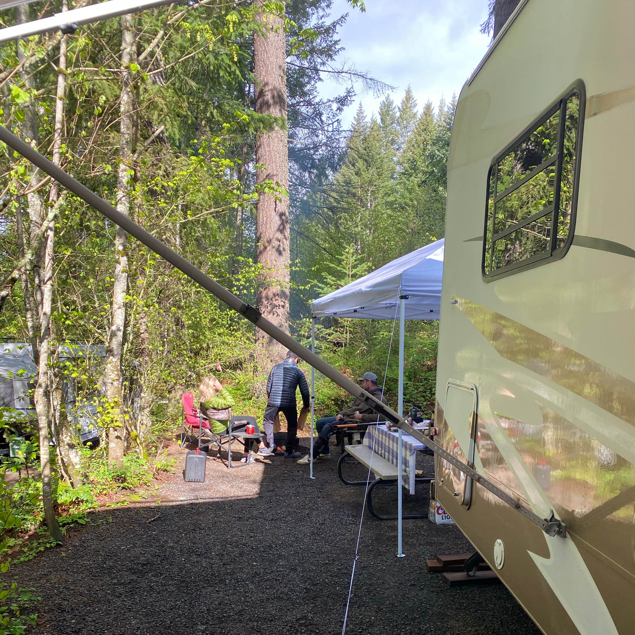 Timberland RV Park Camping The Dyrt