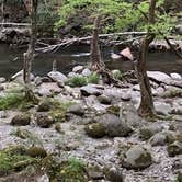Review photo of Elkmont Campground — Great Smoky Mountains National Park by Steve L., April 25, 2021