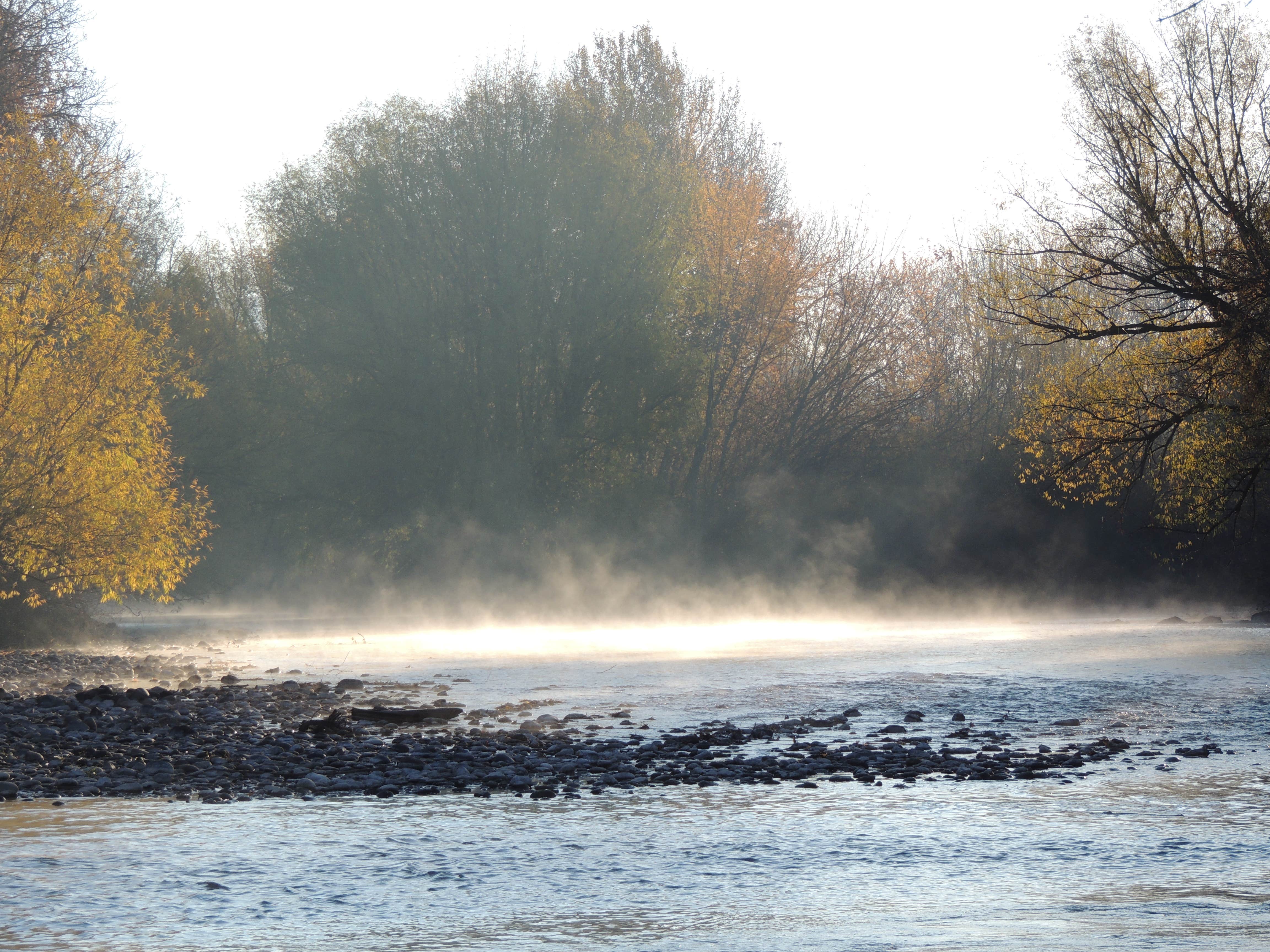Camper-submitted photo at Boise Riverside RV Park near Boise, ID
