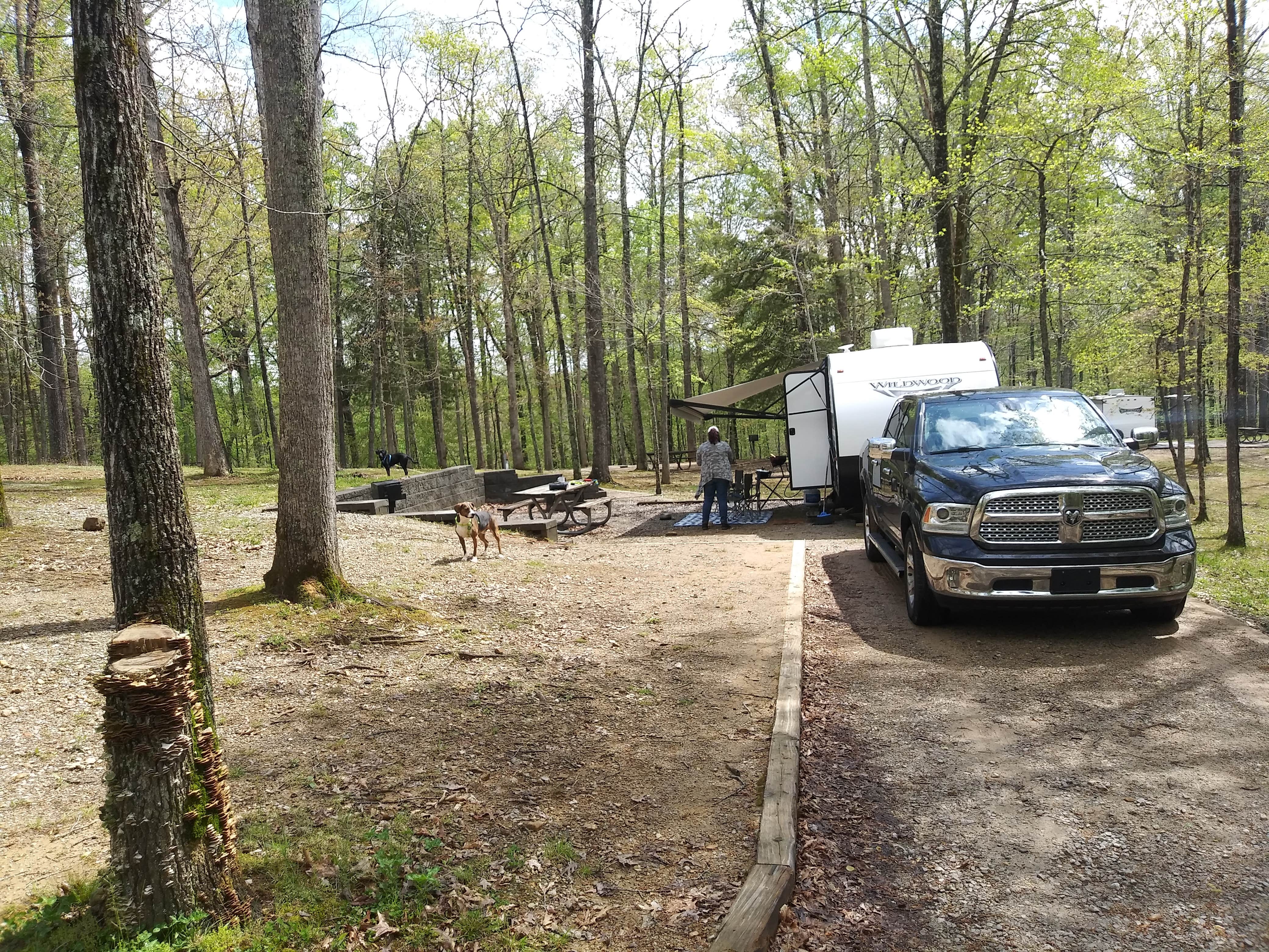 John's photo at Standing Stone State Park Campground near Rickman, TN