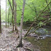 Review photo of Standing Stone State Park Campground by John , April 25, 2021