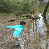 Review photo of Standing Stone State Park Campground by John , April 25, 2021