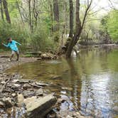 Review photo of Standing Stone State Park Campground by John , April 25, 2021