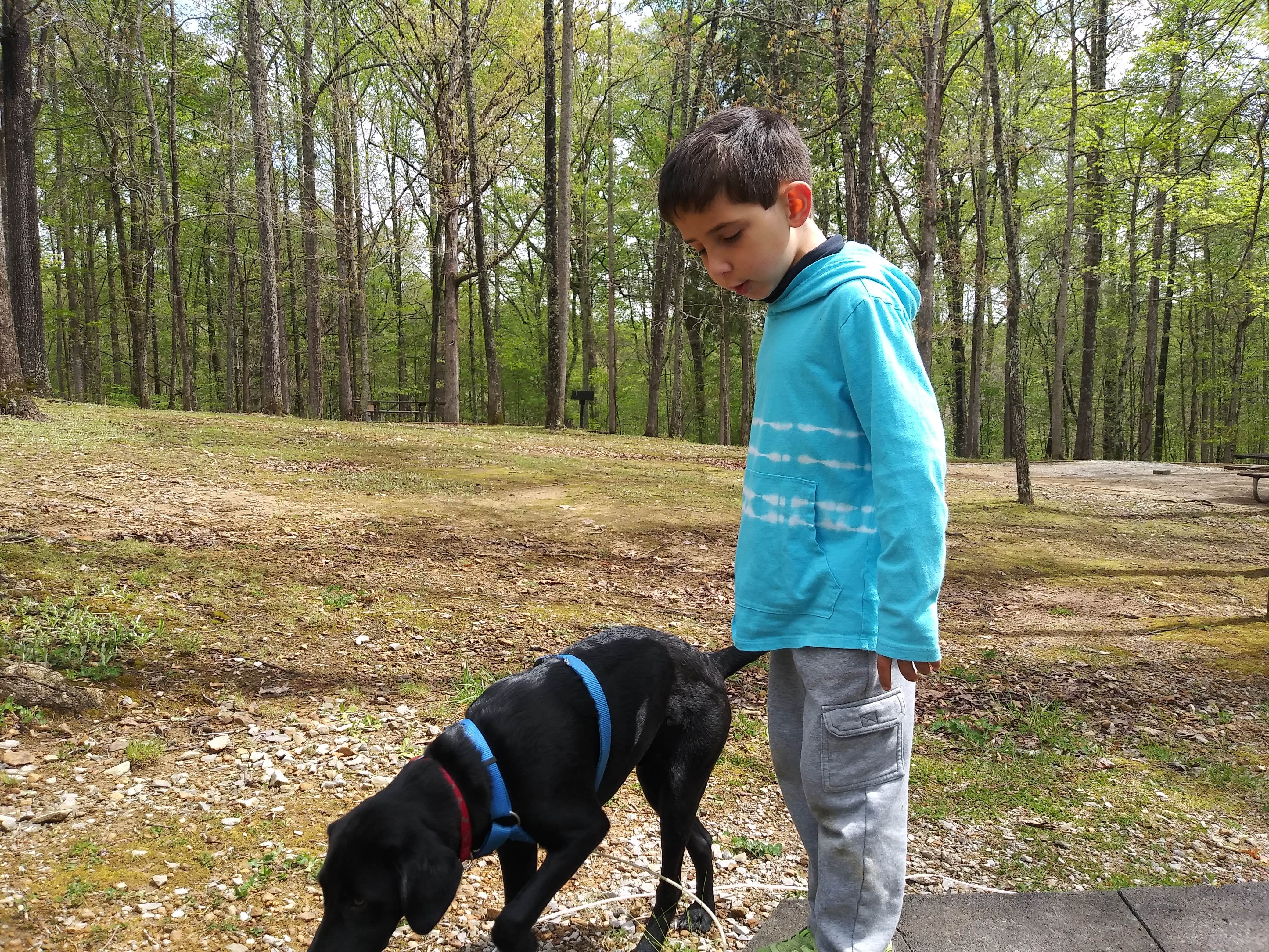 John's photo of camping with pets at Standing Stone State Park Campground near Granville, TN