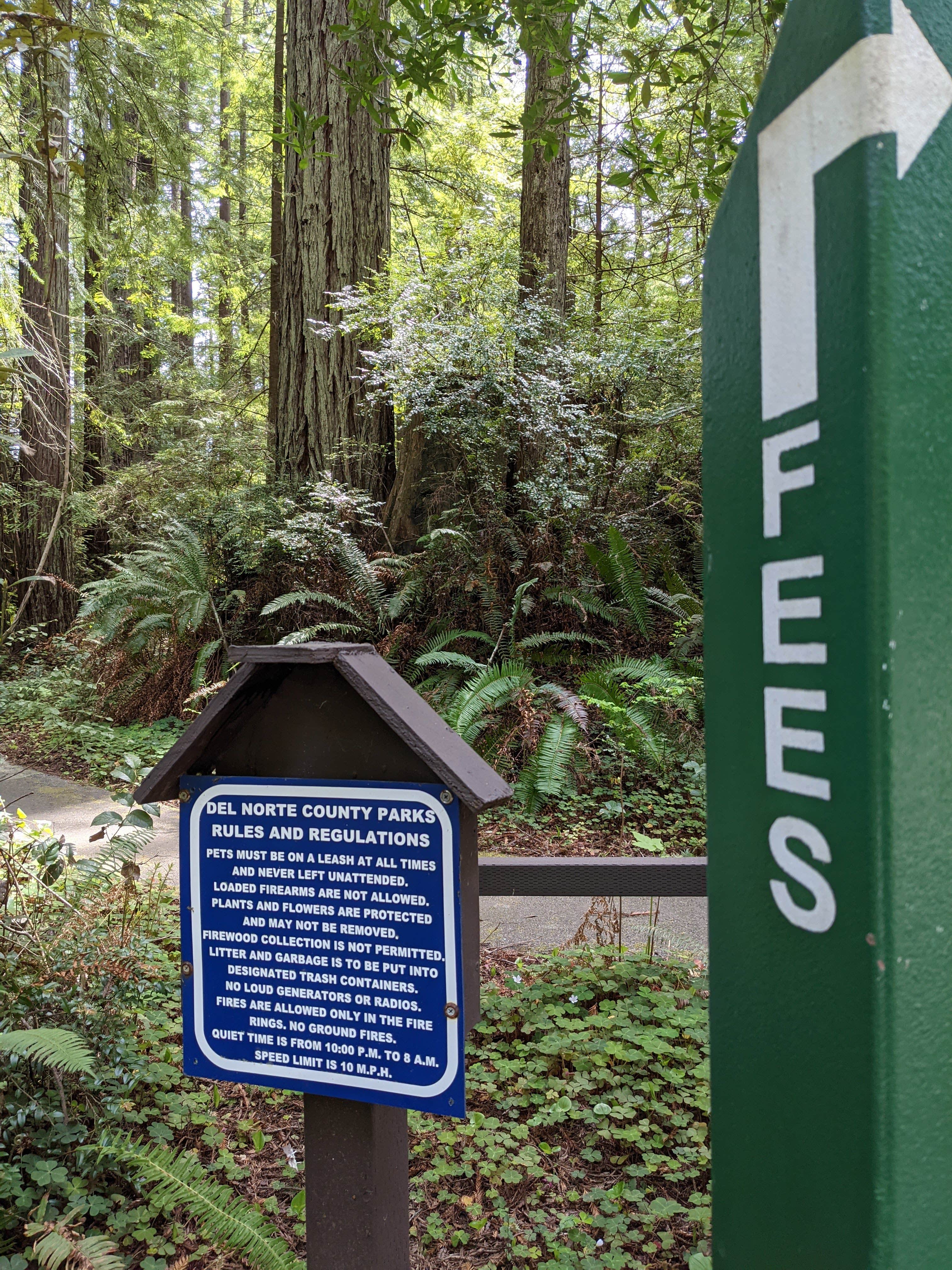 Camper submitted image from Florence Keller Regional Park - 5