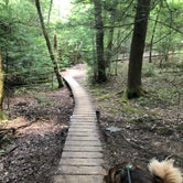 Review photo of Savage Falls Campground — Savage Gulf State Park by Brittni F., April 25, 2021