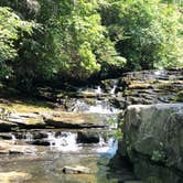 Review photo of Savage Falls Campground — Savage Gulf State Park by Brittni F., April 25, 2021