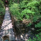 Review photo of Savage Falls Campground — Savage Gulf State Park by Brittni F., April 25, 2021