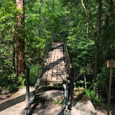 Review photo of Savage Falls Campground — Savage Gulf State Park by Brittni F., April 25, 2021