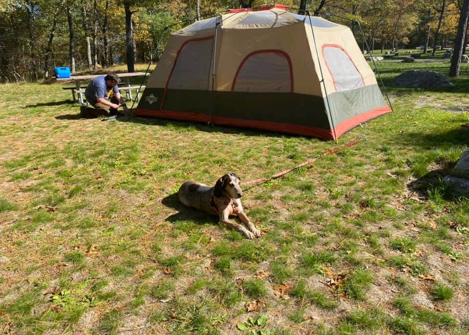 Van Etten Lake State Forest Campground Camping The Dyrt