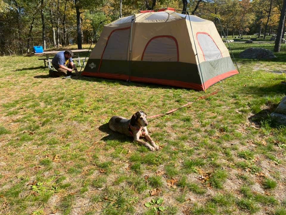 Camper submitted image from Van Etten Lake State Forest Campground - 1