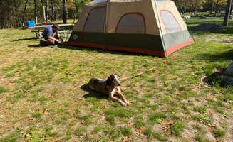 DonW's photo of camping with pets at Van Etten Lake State Forest Campground near Glennie, MI