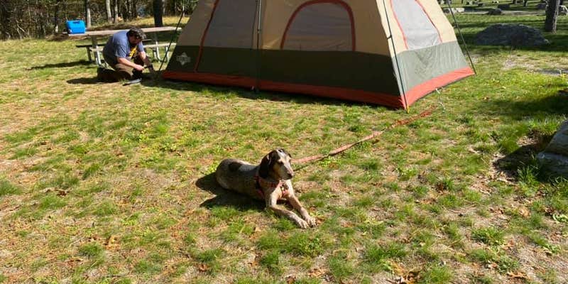 Camper submitted image from Van Etten Lake State Forest Campground