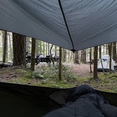 Review photo of Lower Falls Campground by Liam , April 25, 2021