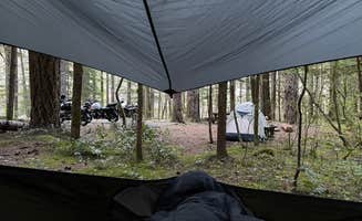 Liam's photo at Lower Falls Campground near Gifford Pinchot National Forest