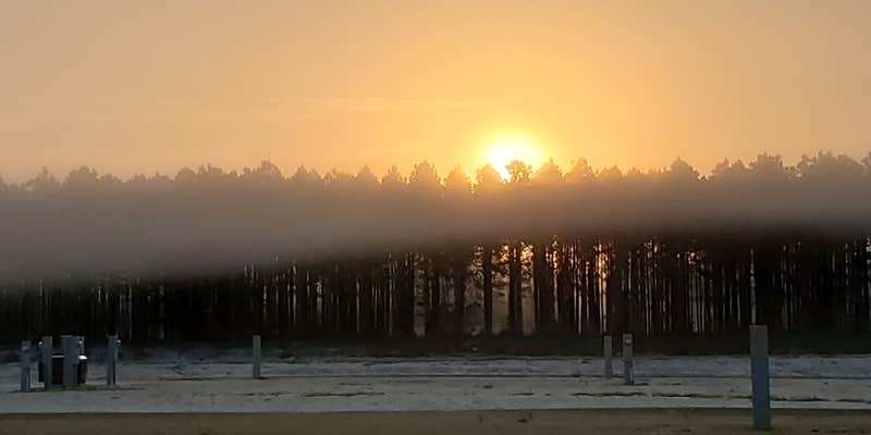 Camper submitted image from Strawberry Fields for RV'ers