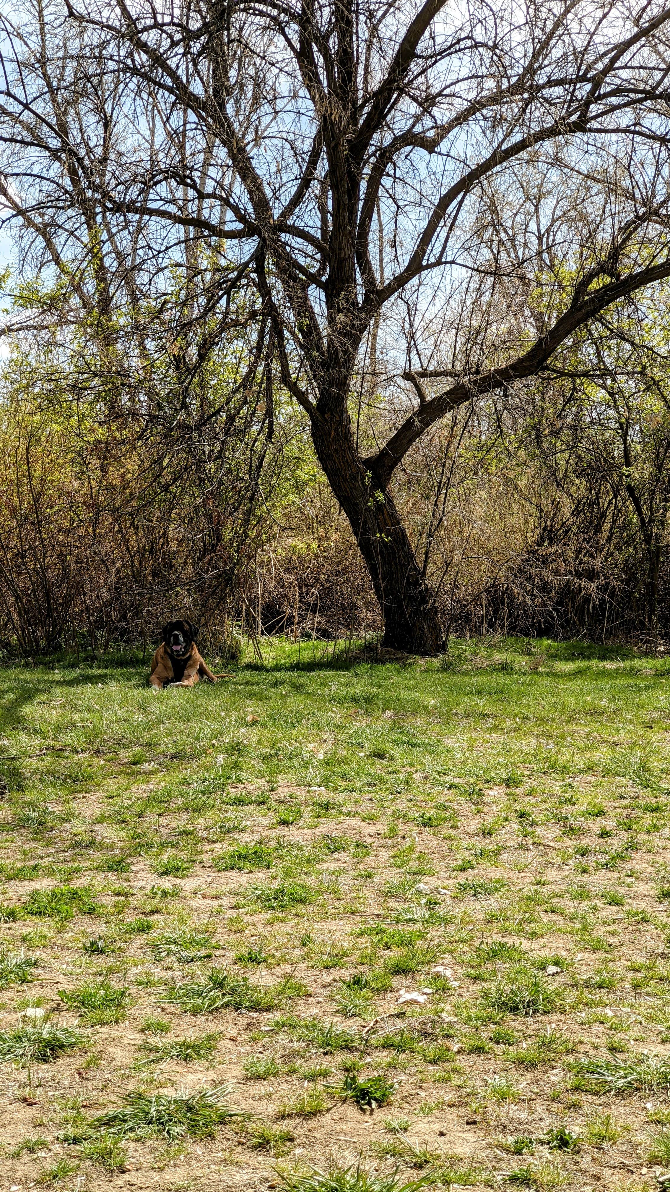 Nature