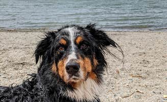 Ben H.'s photo of camping with pets at Cottonwood Campground — Willard Bay State Park near Uintah, UT