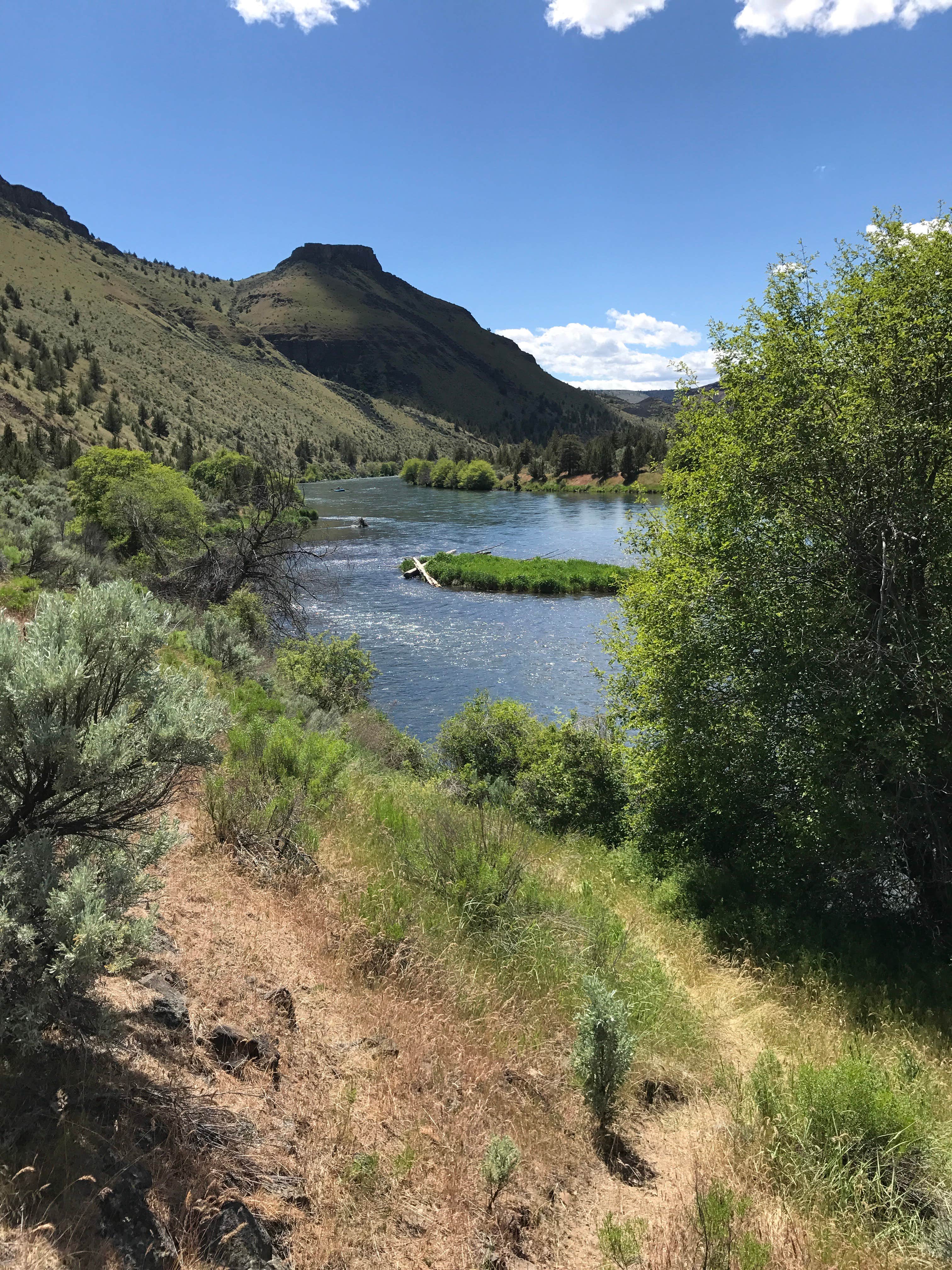 Camper submitted image from Trout Creek Campground Boat Ramp - 5