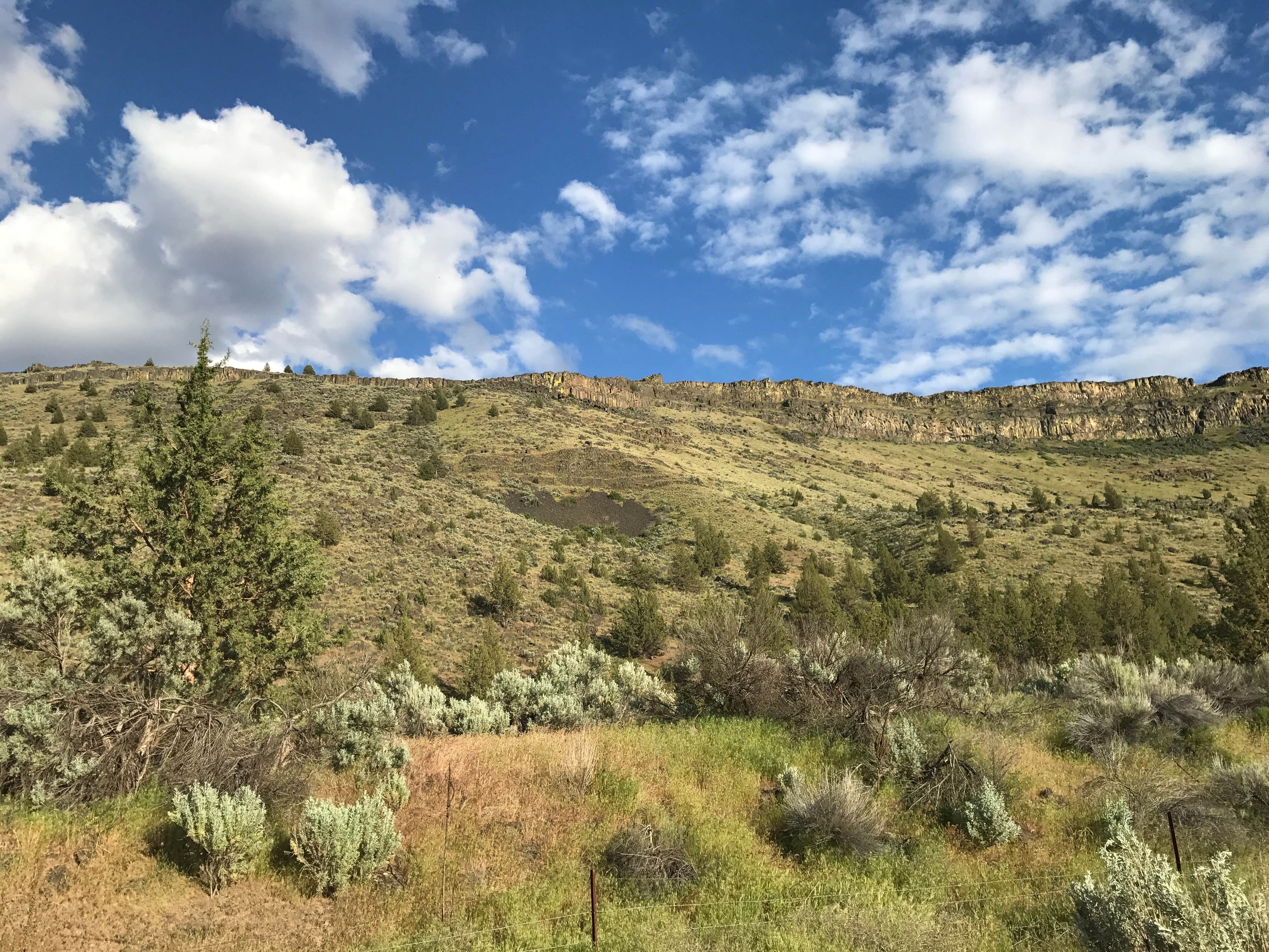 Camper submitted image from Trout Creek Campground Boat Ramp - 2