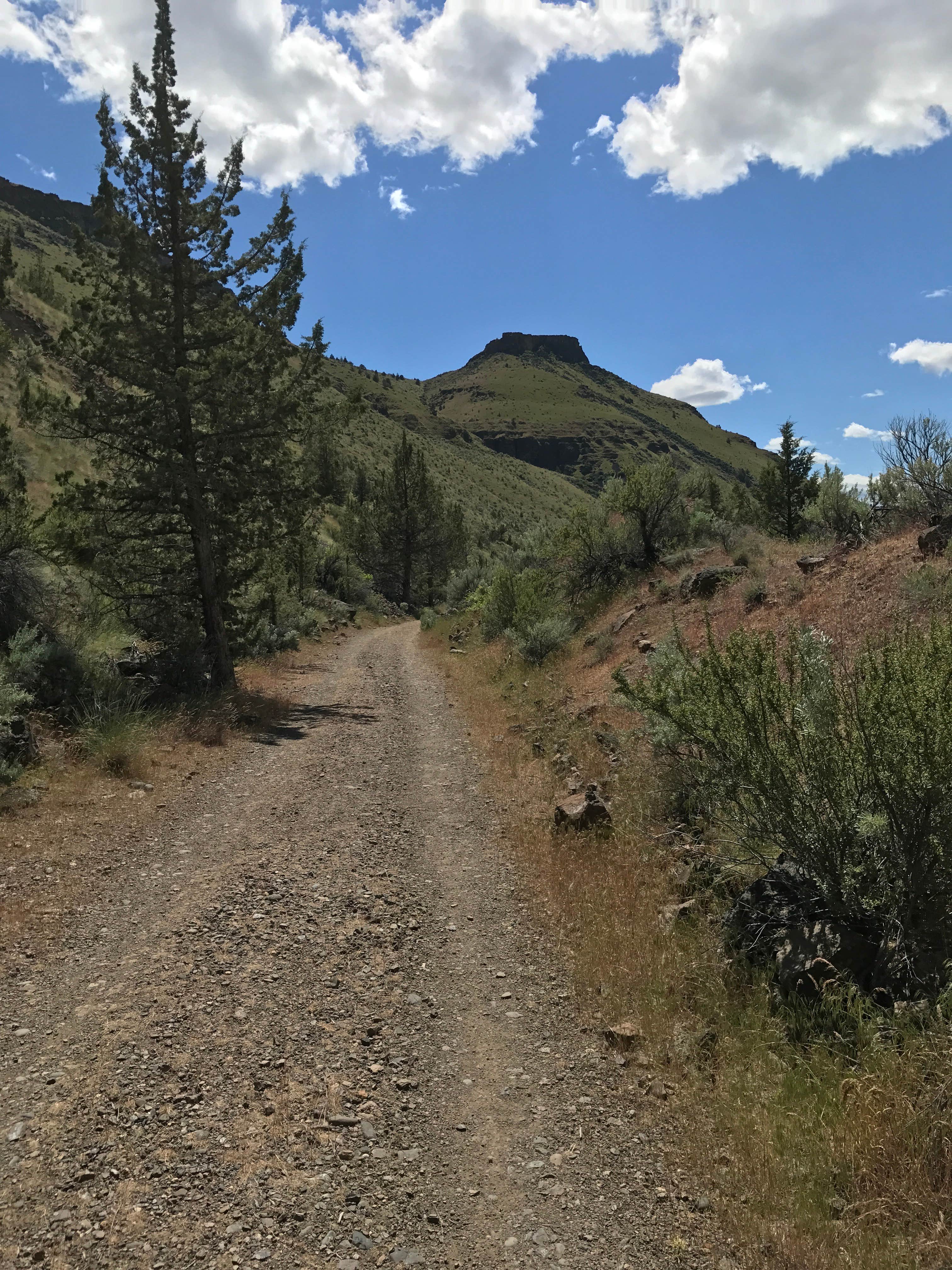 Camper submitted image from Trout Creek Campground Boat Ramp - 4