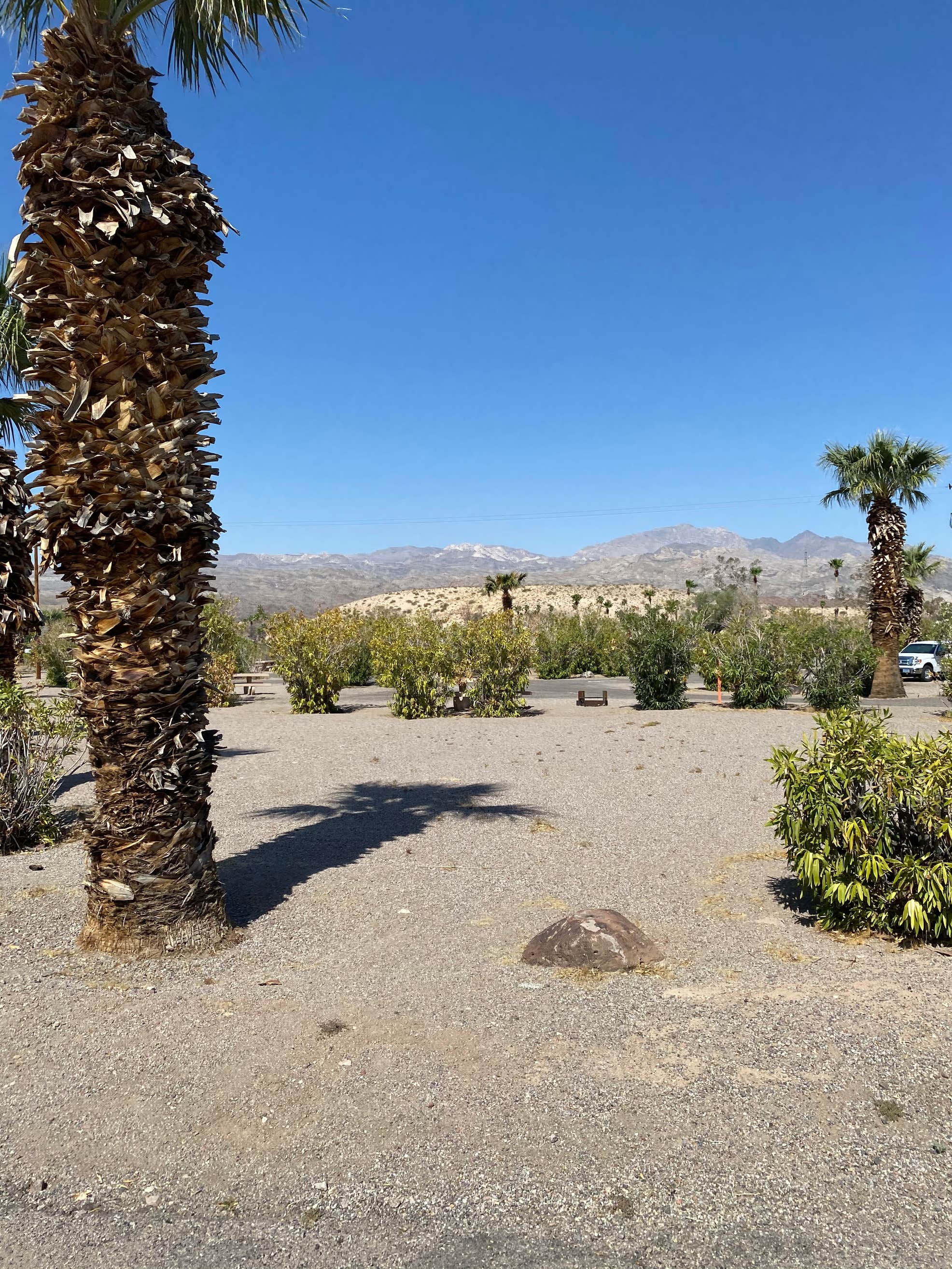 Katherines Landing Campground Lake Mead National Rec Area Camping