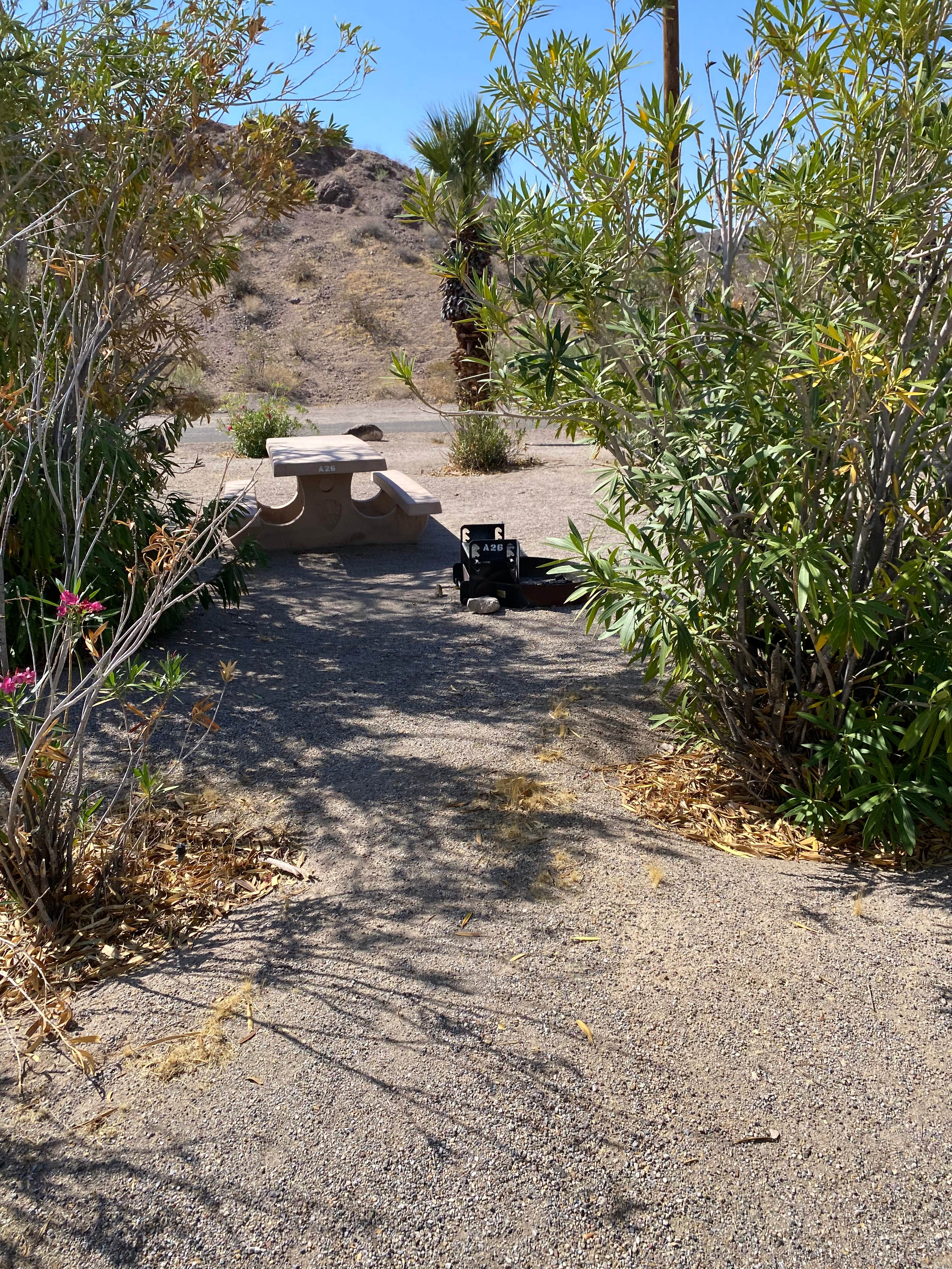 Camper-submitted photo at Katherine Landing North Campground near Oatman, AZ