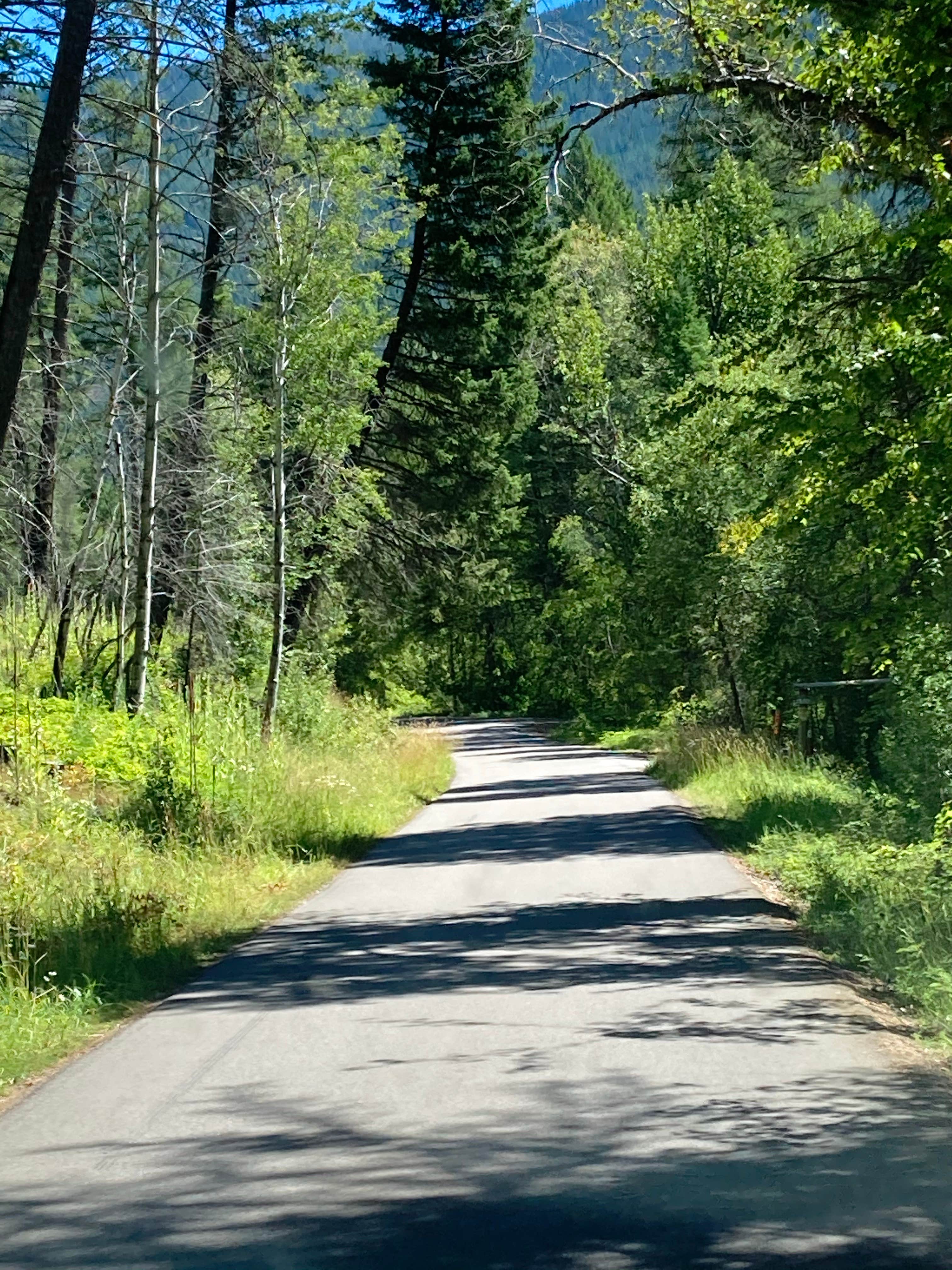 Escape to Tranquility: Little Therriault Lake Campground, Montana