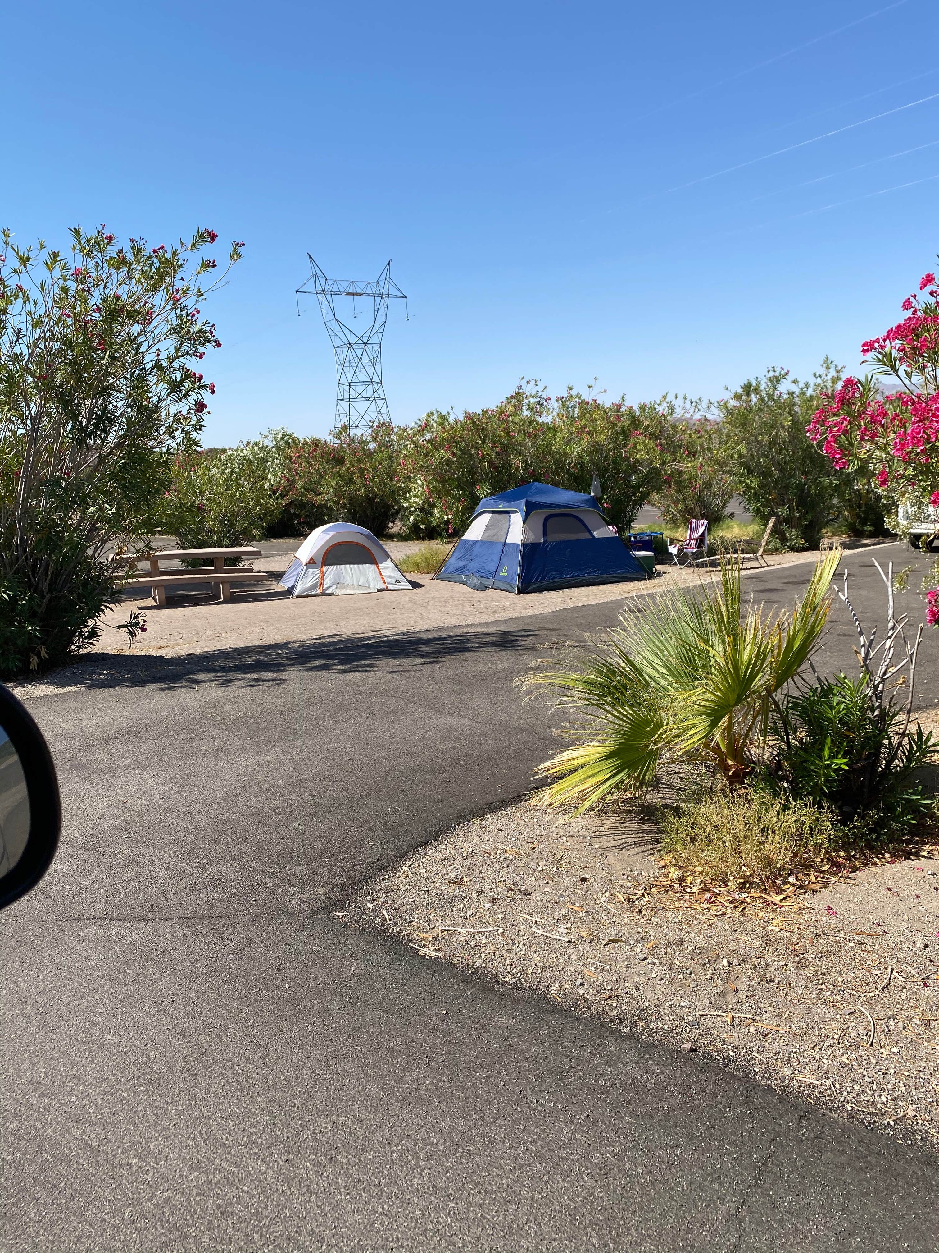 Brittney  C.'s photo at Katherine Landing North Campground near Oatman, AZ