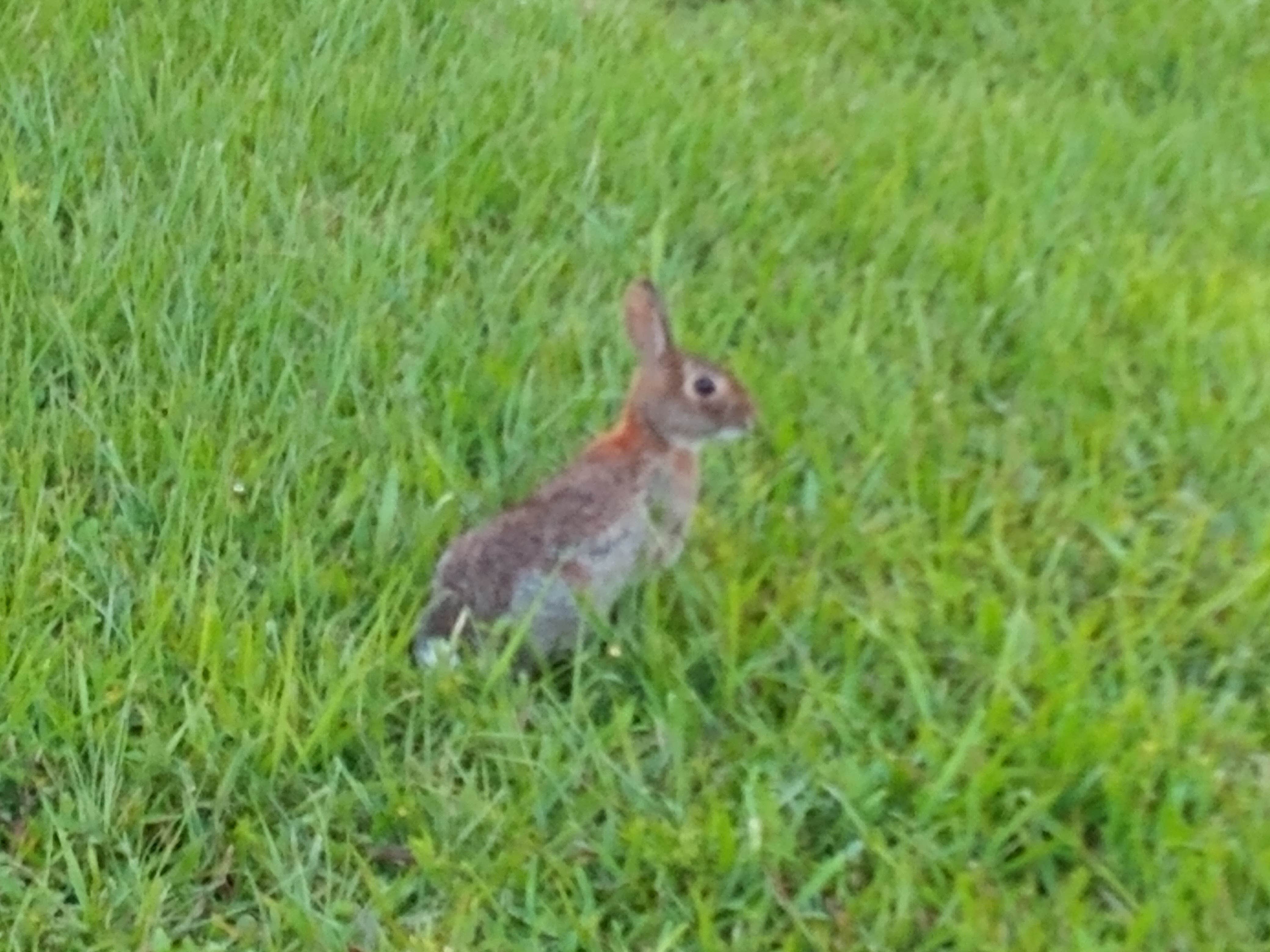 Camper submitted image from Windward Isle RV And Mobile Home Park - 1